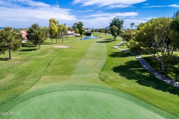 25821 New Town Dr, Sun Lakes, AZ 85248