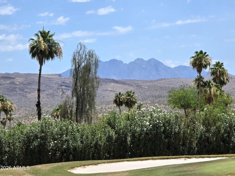 25835 Lago Ln, Rio Verde, AZ 85263