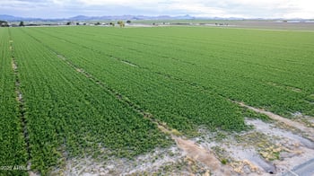 25842 Victory St, Buckeye, AZ 85326