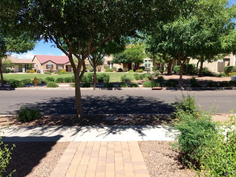2585 E Bart St, Gilbert, AZ 85295