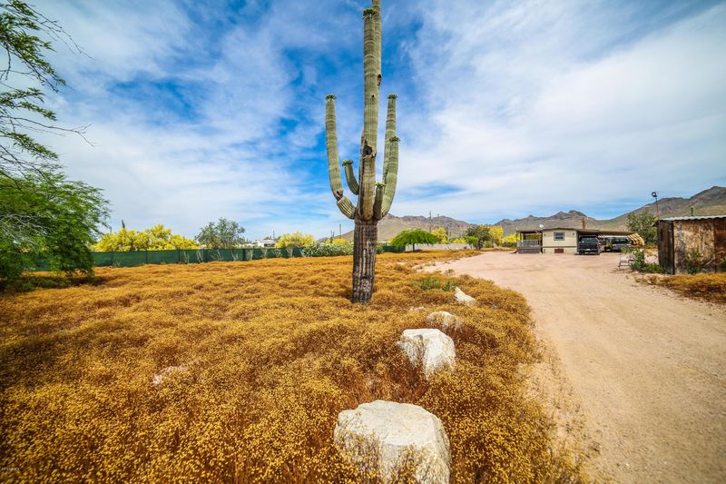 2586 W Whiteley St, Apache Junction, AZ 85120