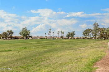 26002 S Cactus Ct, Sun Lakes, AZ 85248