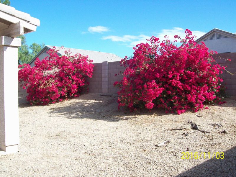 26007 N 41st St, Phoenix, AZ 85050