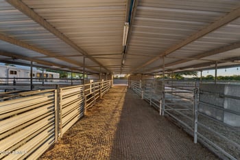 2601 Mesquite St, Gilbert, AZ 85296