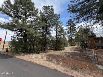 261 1st Dr #4, Show Low, AZ 85901