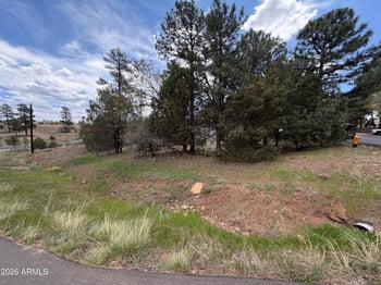 261 1st Dr #4, Show Low, AZ 85901