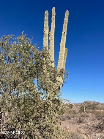 26113 113th Ave #-, Peoria, AZ 85383