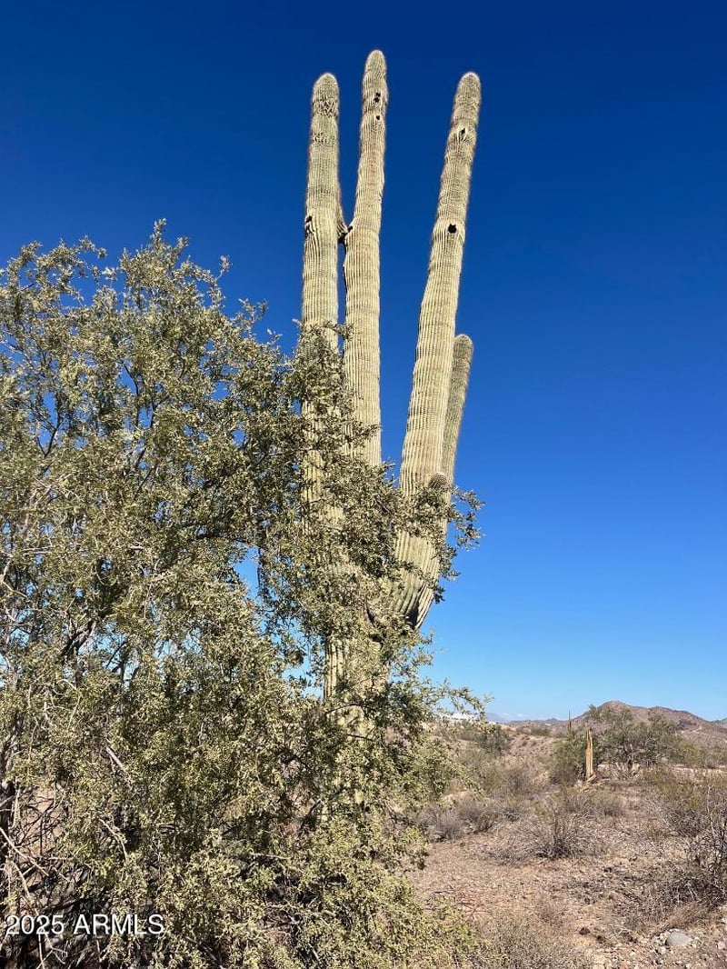 26113 113th Ave #-, Peoria, AZ 85383