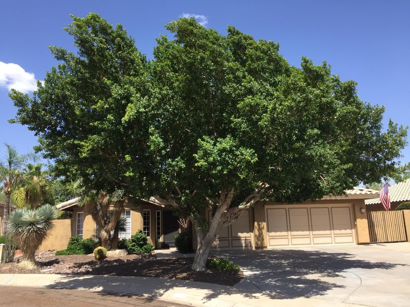 2612 E Verbena Dr, Phoenix, AZ 85048