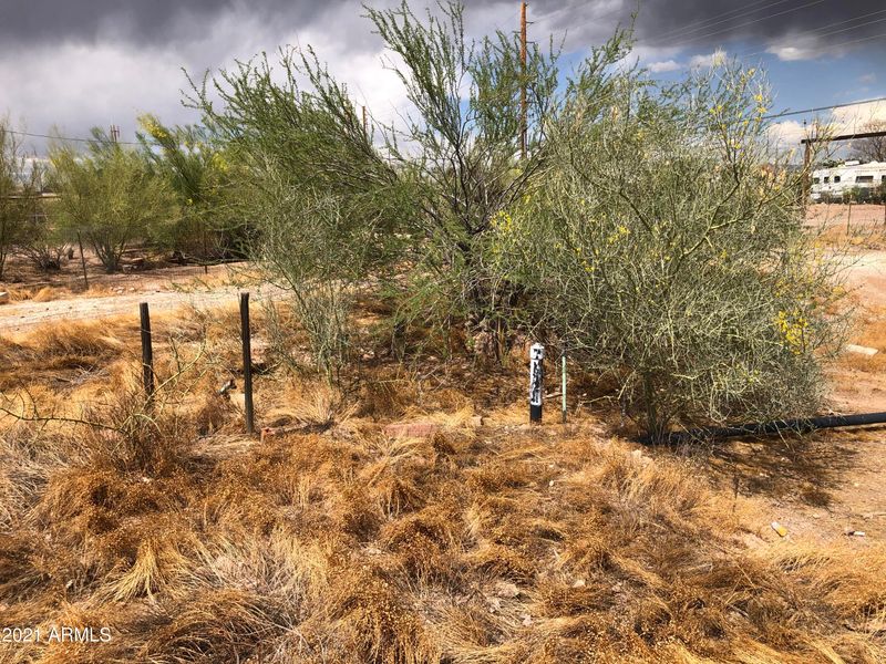 262 S Cactus Rd #-, Apache Junction, AZ 85119