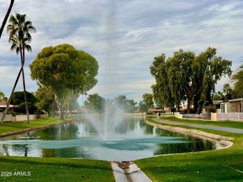 26207 Glenburn Dr, Sun Lakes, AZ 85248