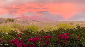 26223 Loredo Ln, Rio Verde, AZ 85263