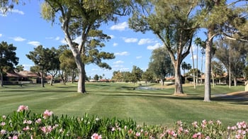 26226 S Flame Tree Dr, Sun Lakes, AZ 85248