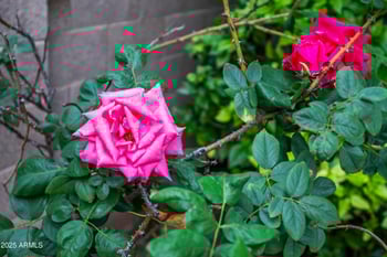 2631 Northridge St, Mesa, AZ 85213