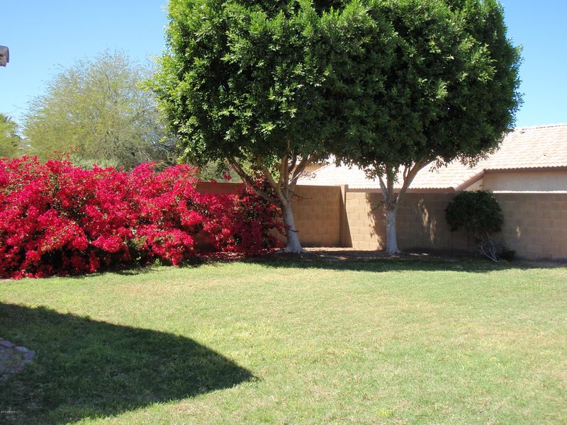 2634 E Beautiful Ln, Phoenix, AZ 85042