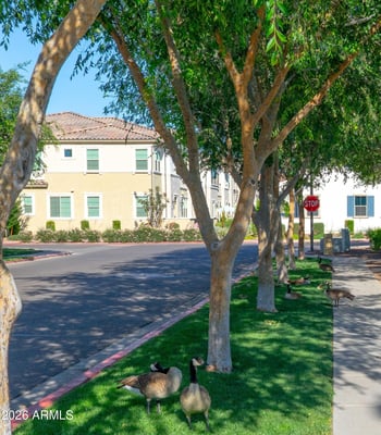 2638 Key Biscayne Dr, Gilbert, AZ 85295