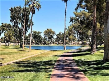 26433 New Town Dr, Sun Lakes, AZ 85248