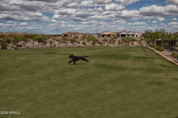 26442 Vista North Dr, Buckeye, AZ 85396