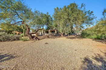 26445 Avenida Del Ray --, Rio Verde, AZ 85263