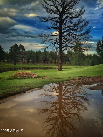 2649 Bluebird Ct, Flagstaff, AZ 86005