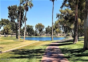 26629 New Town Dr, Sun Lakes, AZ 85248