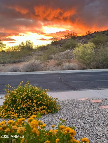 26843 65th Ave, Phoenix, AZ 85083