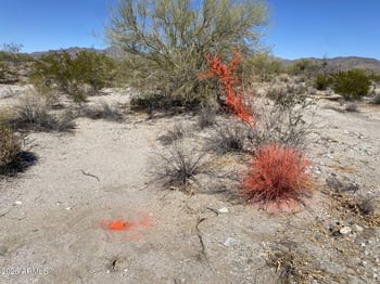 268XX Campbell Ave #-, Buckeye, AZ 85396