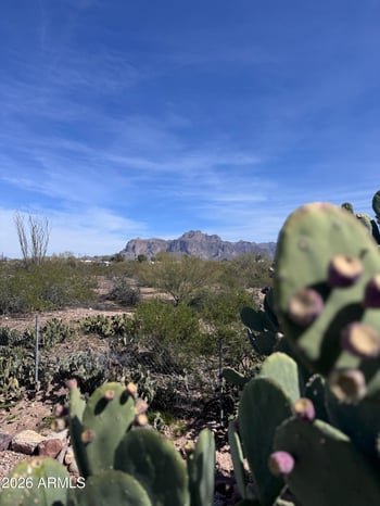 269 Winchester Rd #36, Apache Junction, AZ 85119