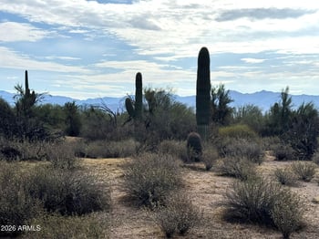 27000 158th St #-, Scottsdale, AZ 85262