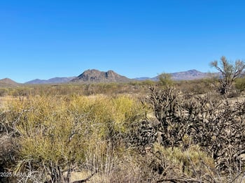 27003 134th St #-, Scottsdale, AZ 85262