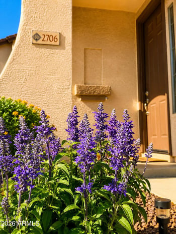 2706 Longhorn Pl, Chandler, AZ 85286