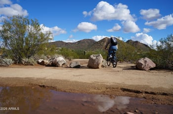 2706 Via Calabria --, Phoenix, AZ 85086