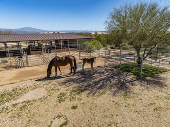 27111 N 150th St, Scottsdale, AZ 85262