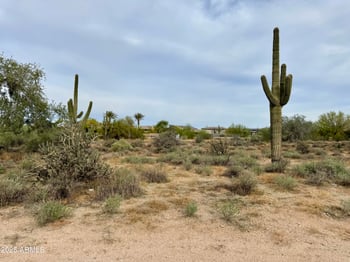27207 67th St #B1, Scottsdale, AZ 85266