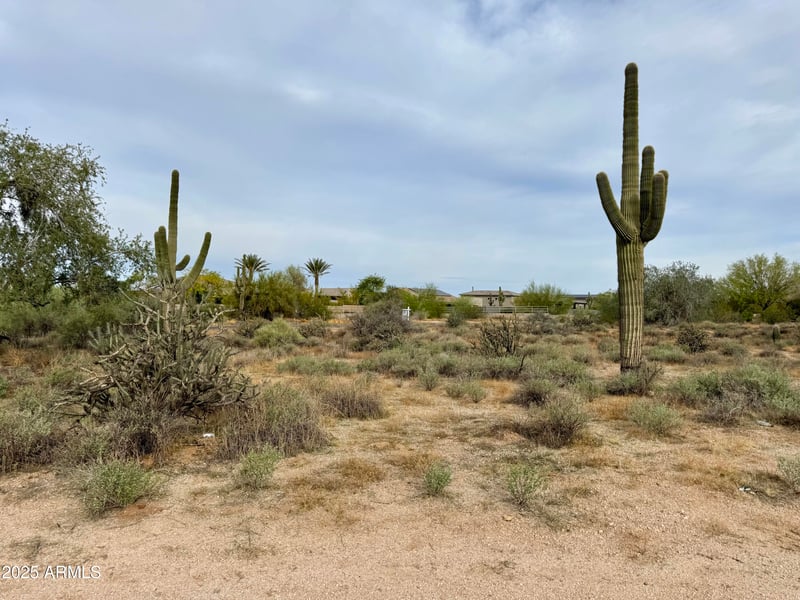 27207 67th St #B1, Scottsdale, AZ 85266