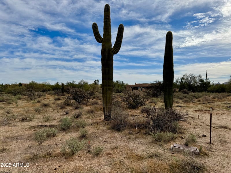 27207 67th St #B1, Scottsdale, AZ 85266