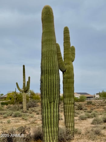 27207 N 67th St #B1, Scottsdale, AZ 85266