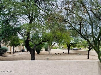 27224 71st Pl, Scottsdale, AZ 85266