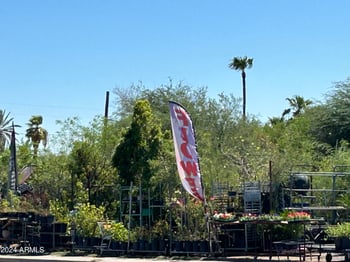 2729 Mcdowell Rd #15, Phoenix, AZ 85008