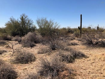 272XX N 77th St #-, Scottsdale, AZ 85266