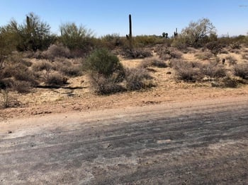 272XX N 77th St #-, Scottsdale, AZ 85266