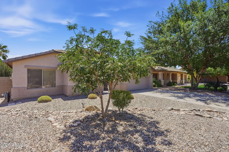 273 Chicory Pl, San Tan Valley, AZ 85143