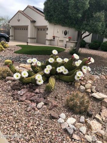 2733 164th Ave, Goodyear, AZ 85395