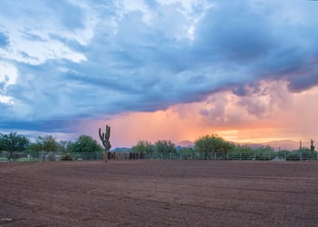 27411 N 160th St, Scottsdale, AZ 85262