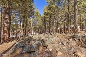 2742 Jason Way #39, Flagstaff, AZ 86001