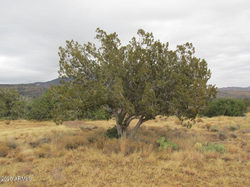 27668 Diamond Dr #20, Fort Mcdowell, AZ 85264