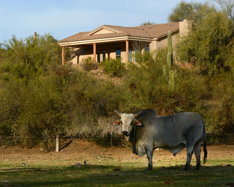 27706 W Mccarroll Rd, Morristown, AZ 85342