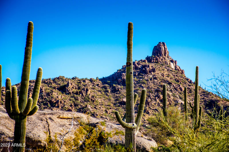 27777 95th St #1, Scottsdale, AZ 85262