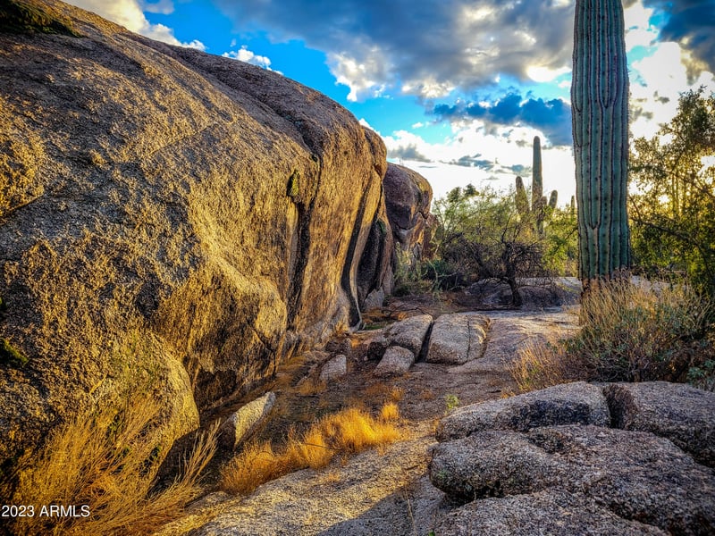 27777 95th St #1, Scottsdale, AZ 85262