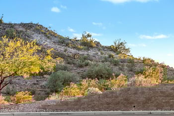 27870 Silverado Ranch Rd, Peoria, AZ 85383